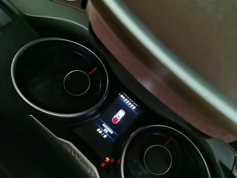 Leopaard Cheetah CS10