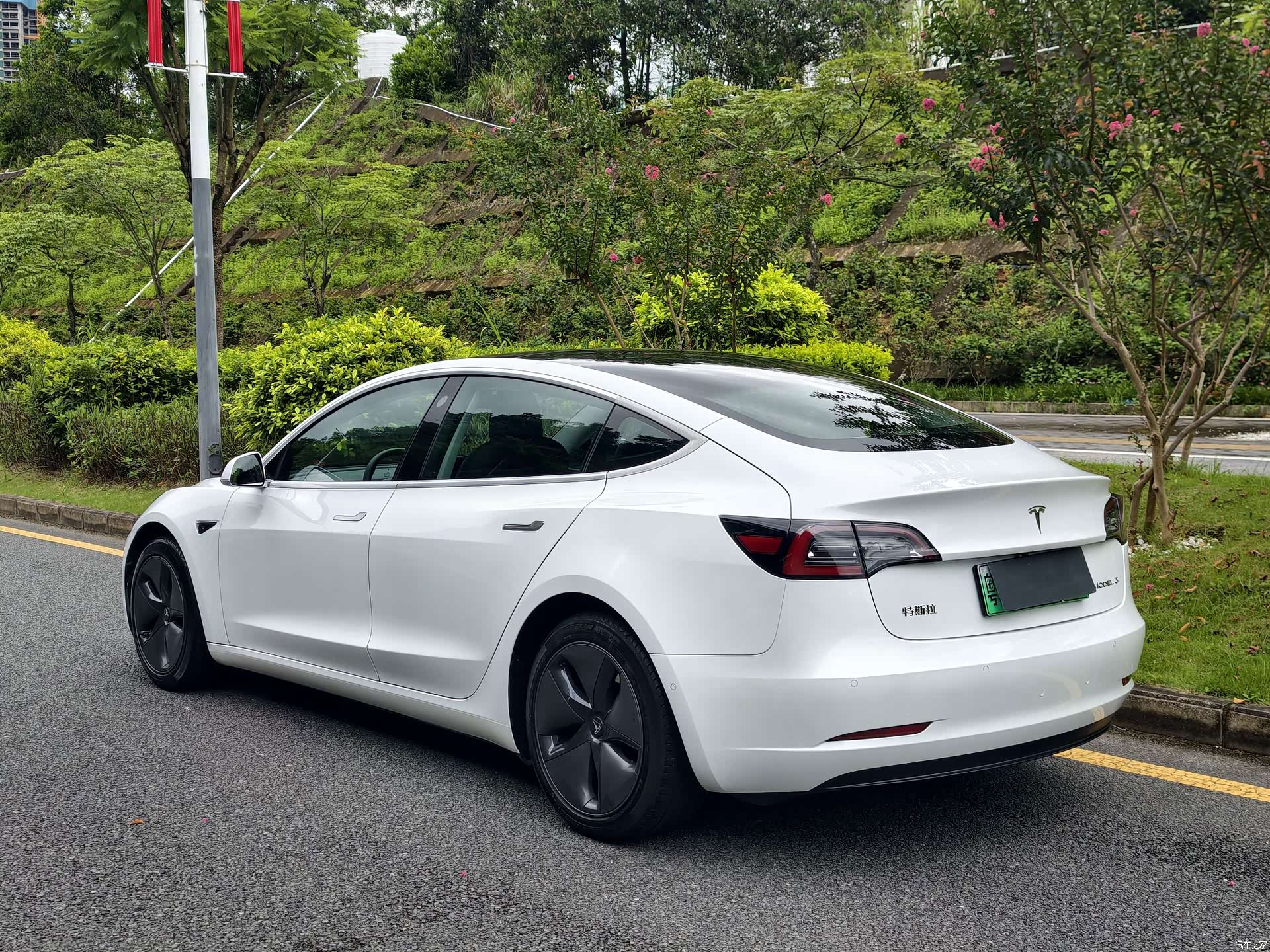 Tesla Model 3, 2020 все фото