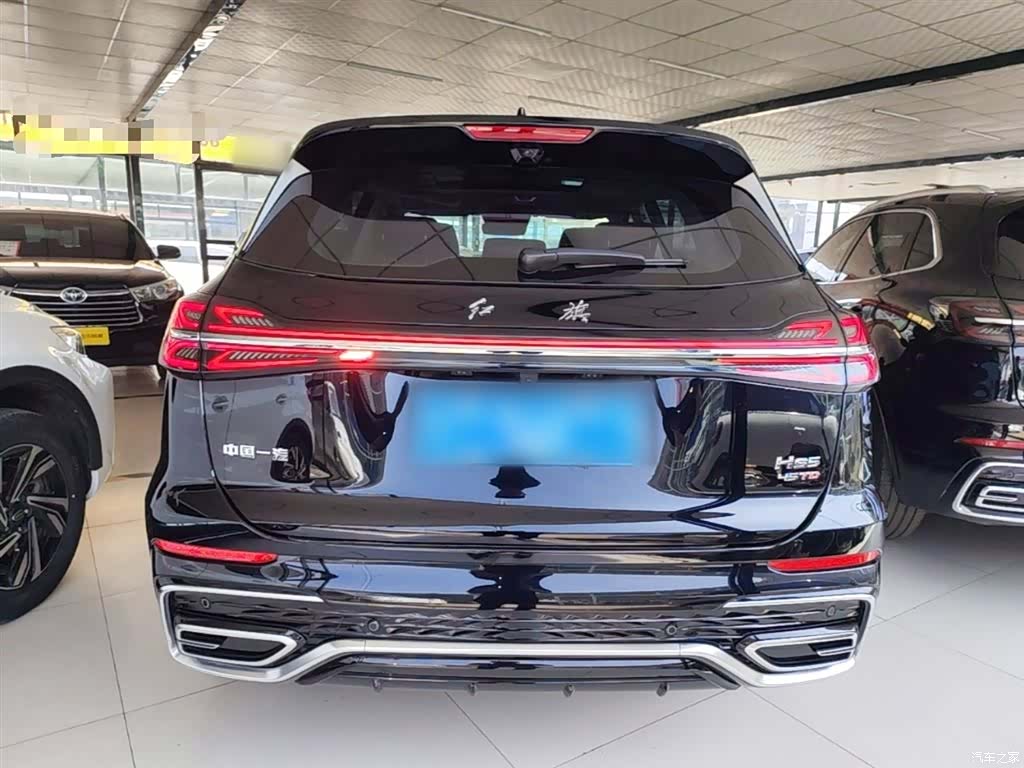 Hongqi HS5, 2024 6