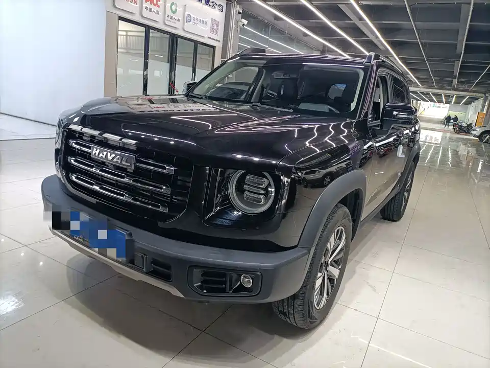 Haval Big dog