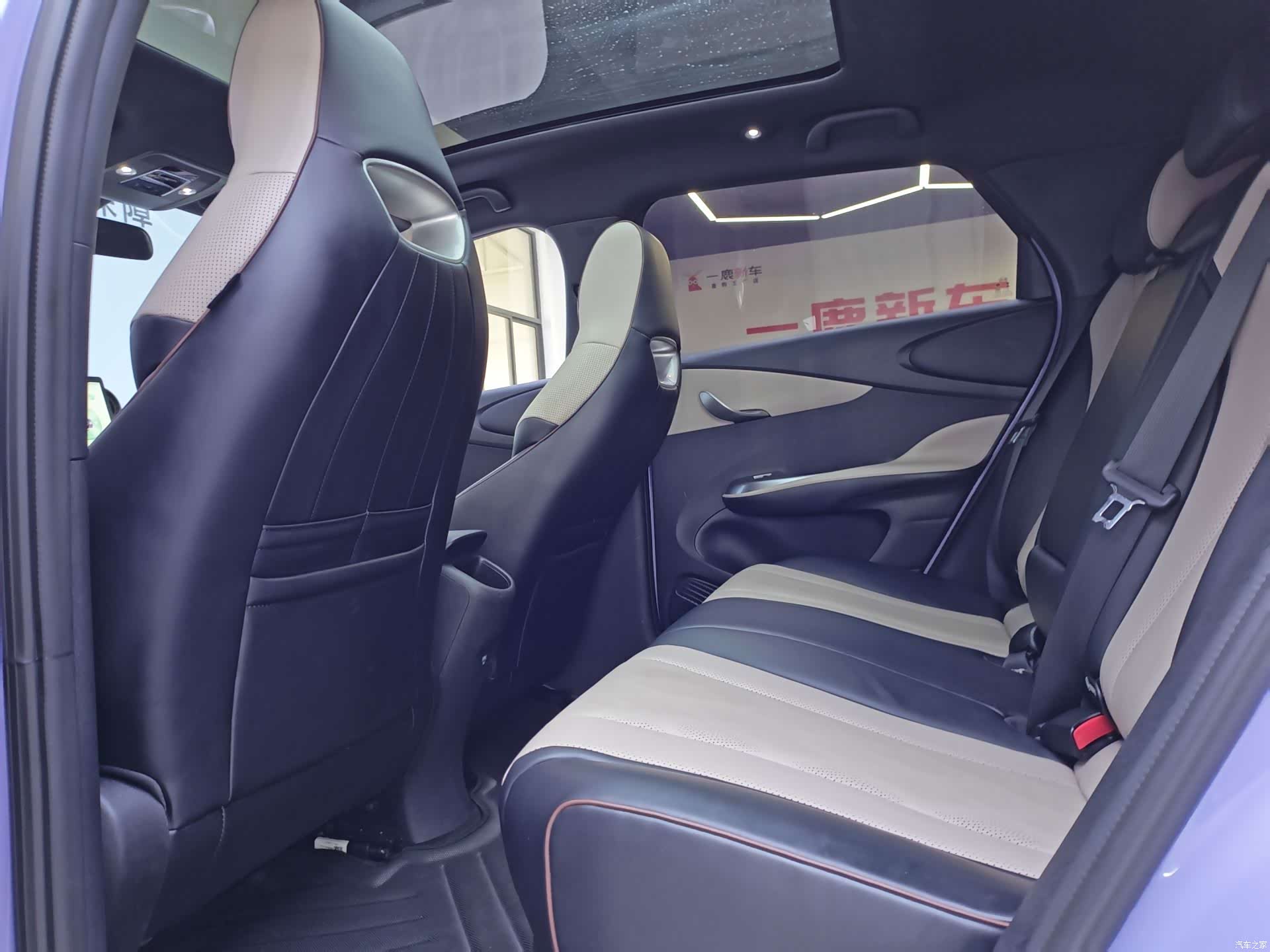BYD Dolphin, 2024 7