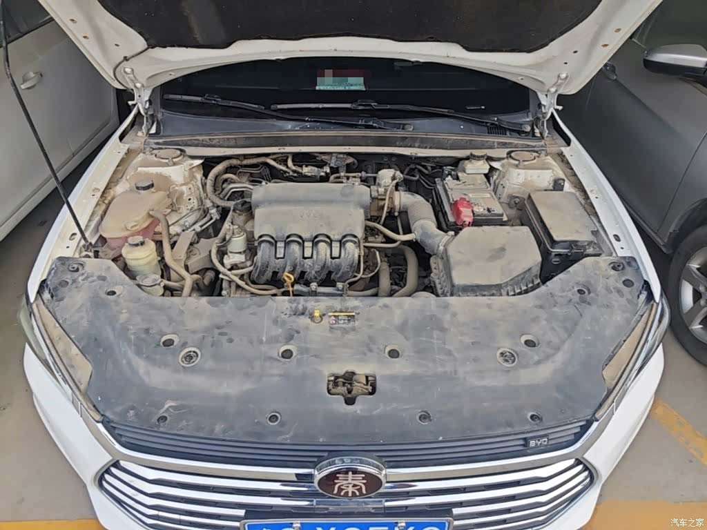 BYD Qin, 2019 20