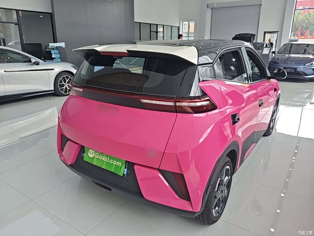 BYD Seagull, 2025 7