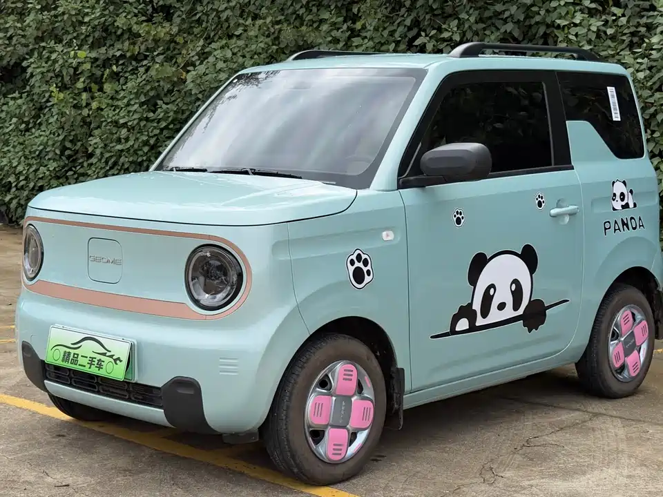 Geely Galaxy panda