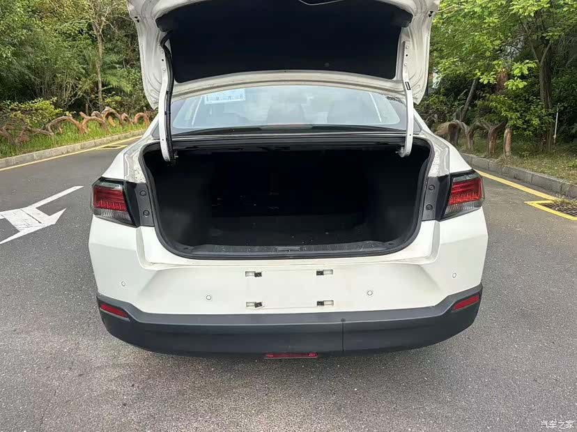 Nissan D60, 2019 15