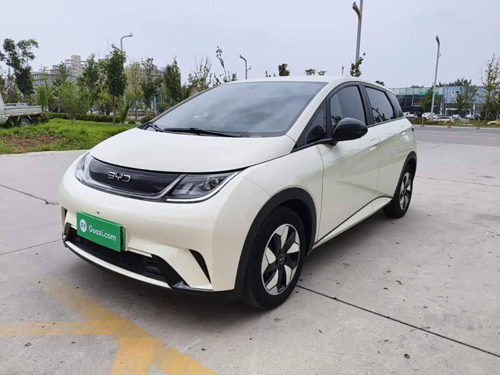 BYD Dolphin