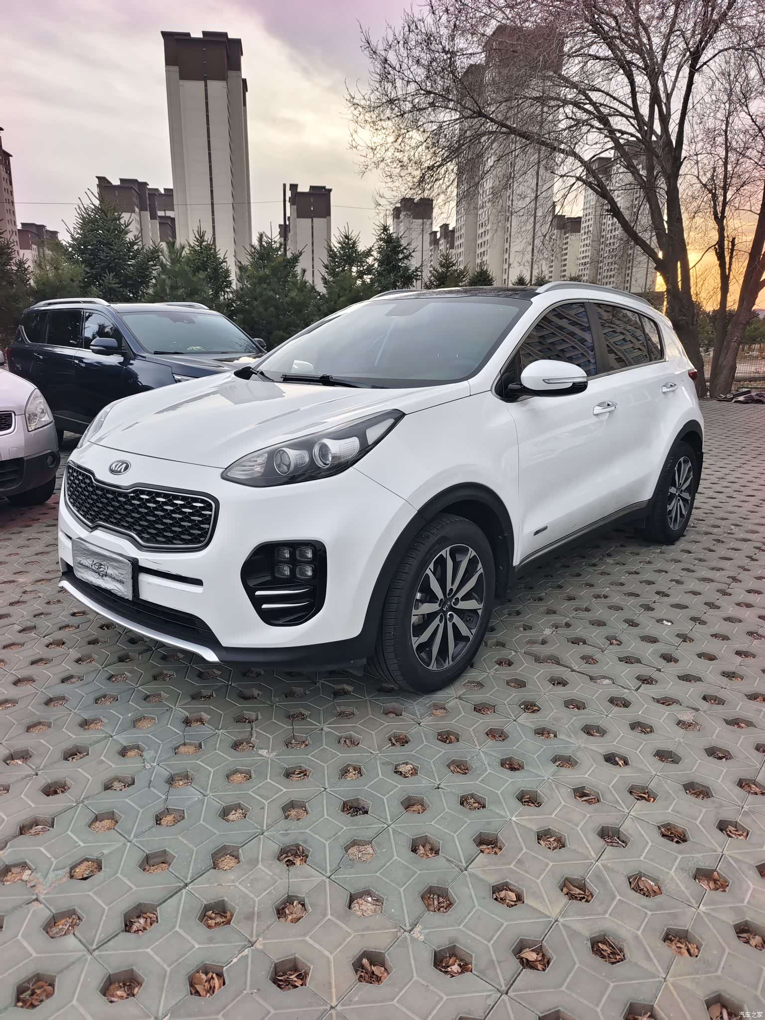 Kia KX5, 2016 1