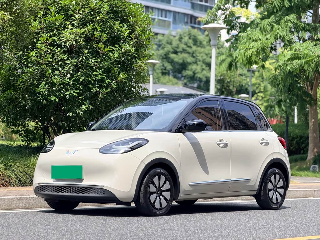 Wuling Binguo