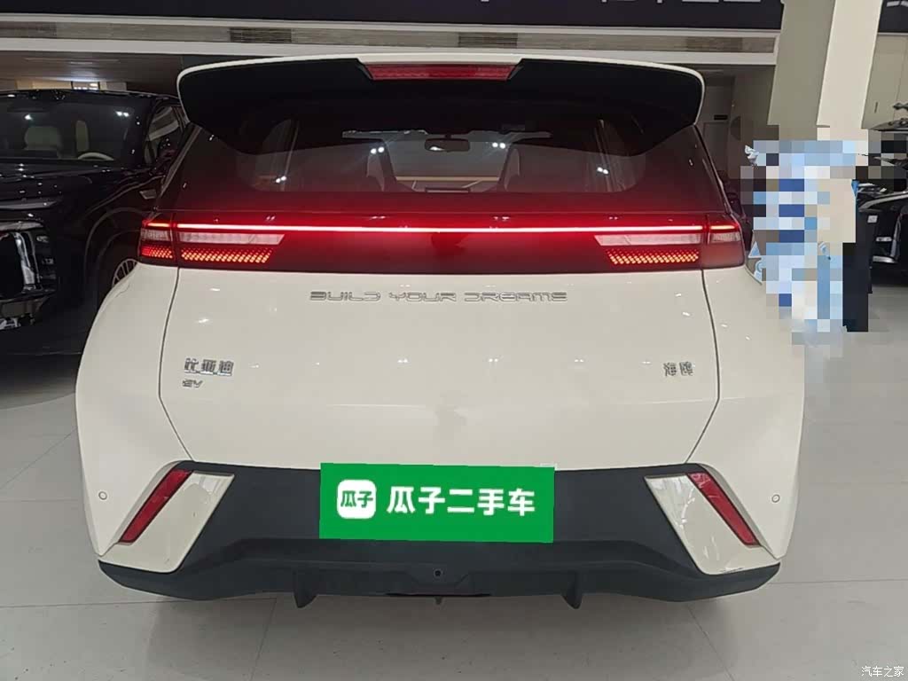 BYD Seagull, 2024 6