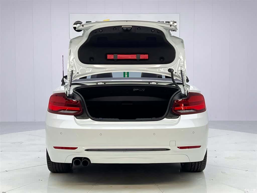 BMW 2 Series, 2019 9