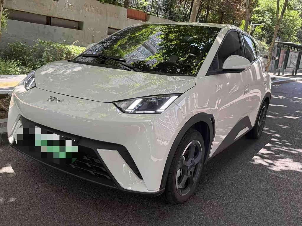 BYD Seagull
