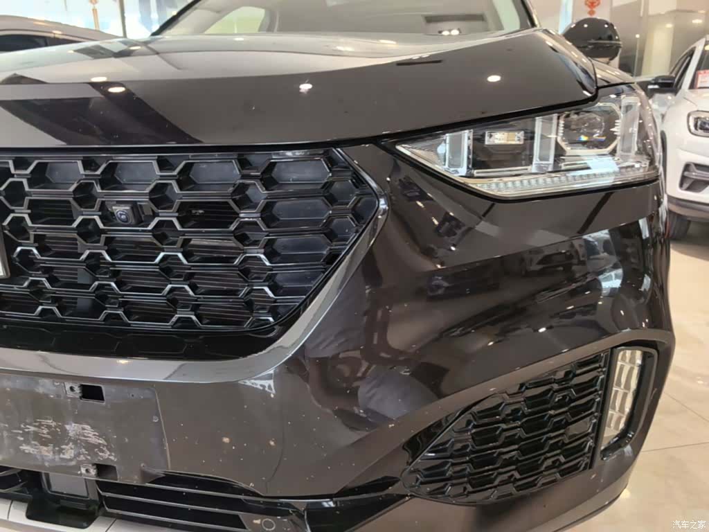 WEY VV6, 2019 24