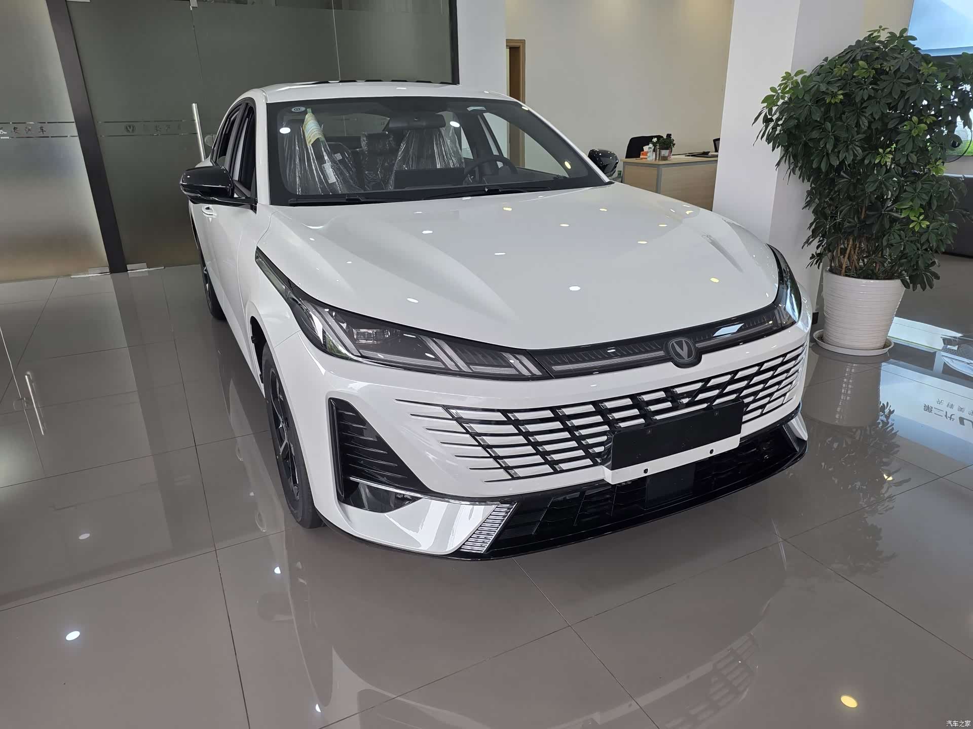 Changan Eado, 2026 3