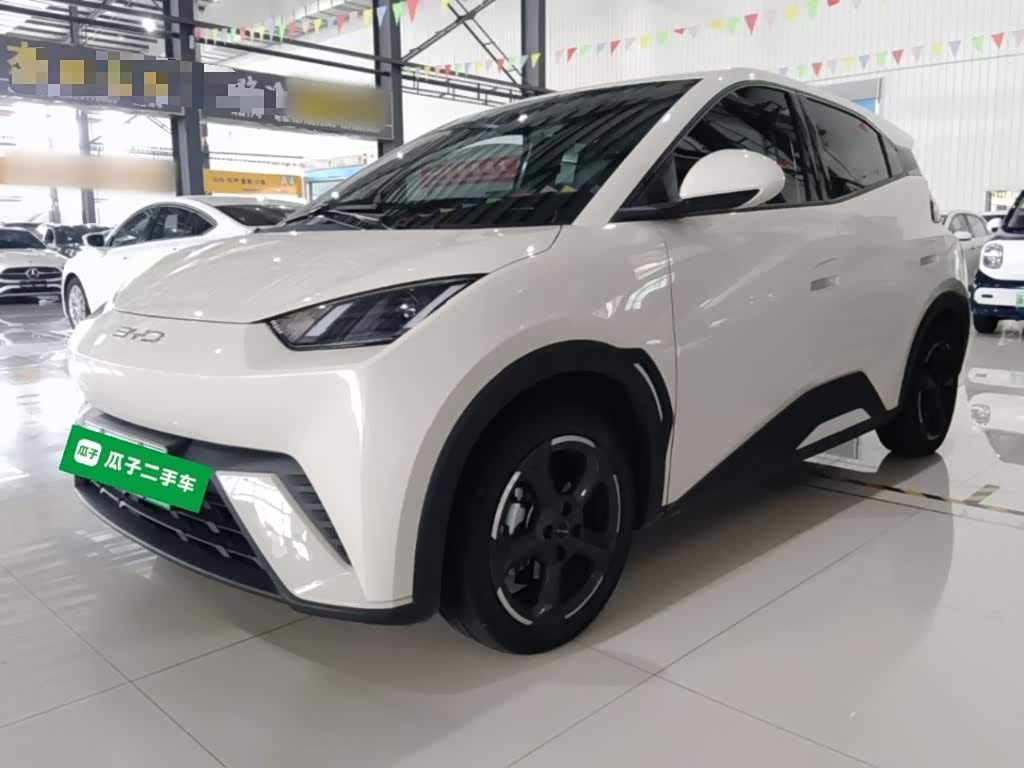 BYD Seagull
