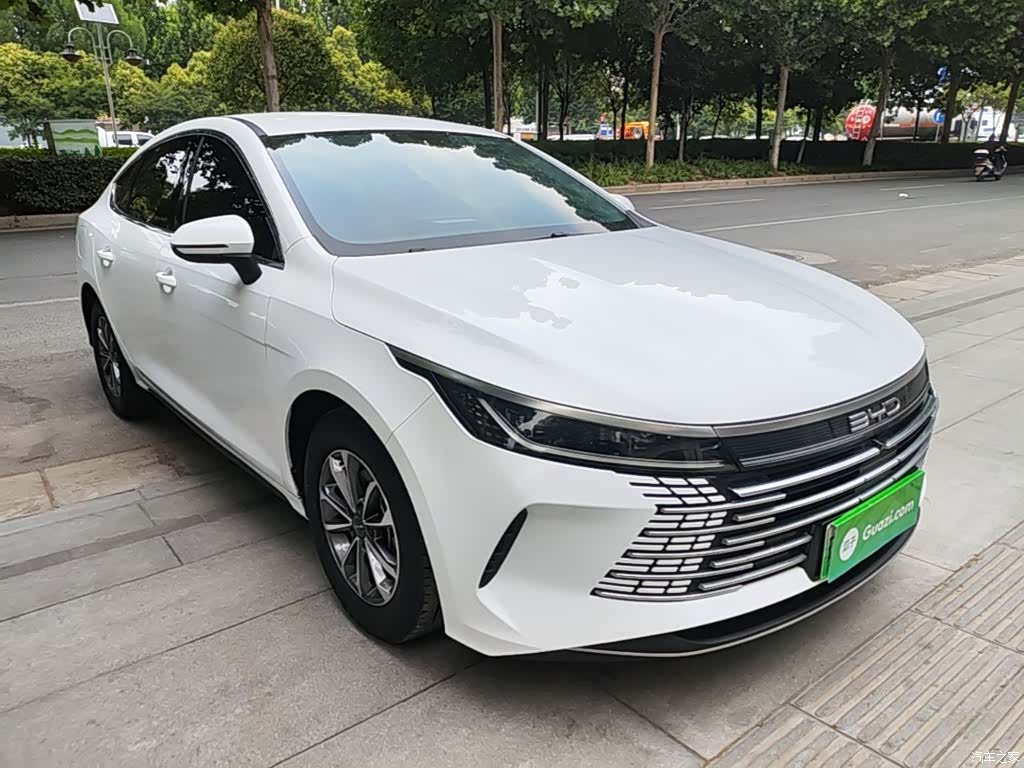 BYD Destroyer 05, 2024 4