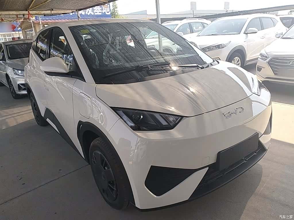 BYD Seagull, 2026 4