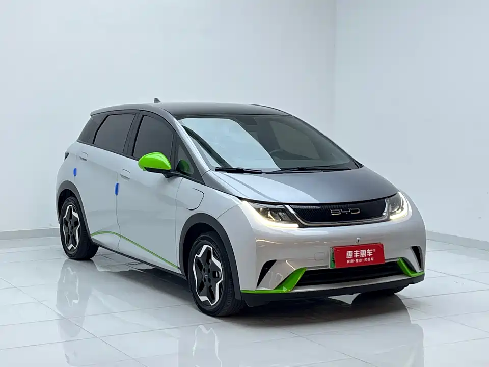 BYD dolphin