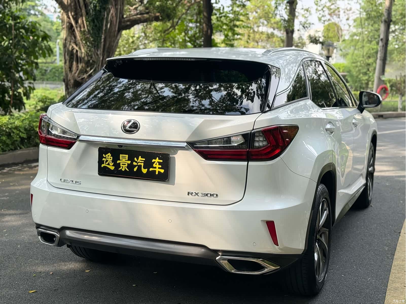 Lexus RX, 2018 22