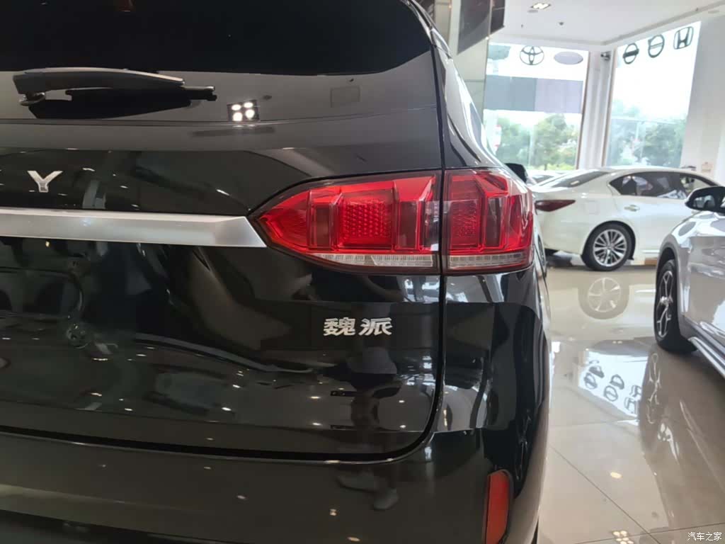 WEY VV6, 2019 8