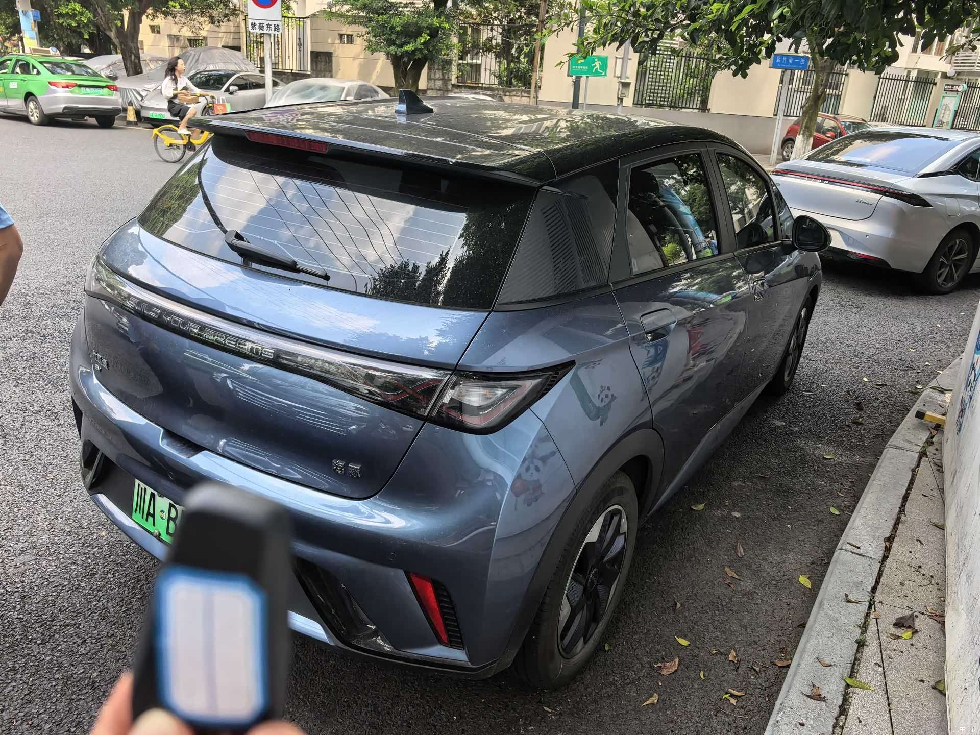 BYD Dolphin, 2024 3