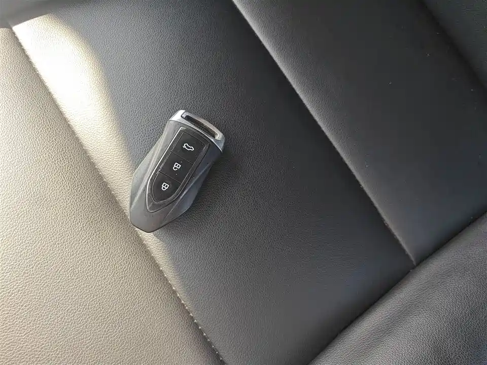 Leopaard Cheetah CS9