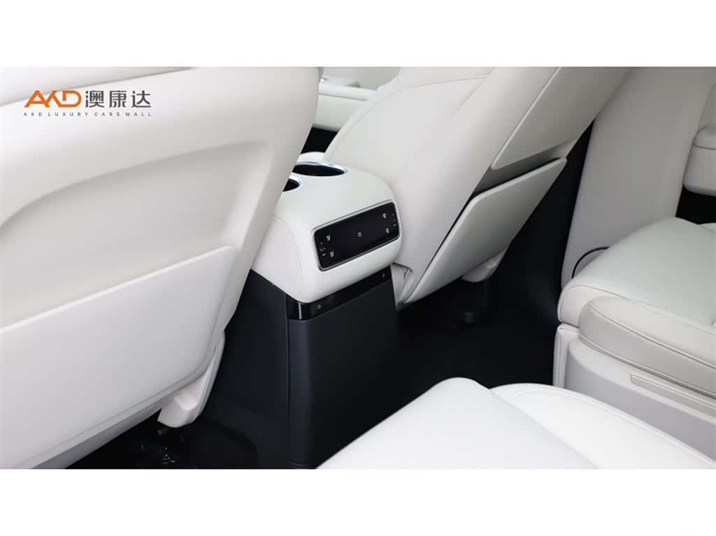 Li Auto L9, 2024 10