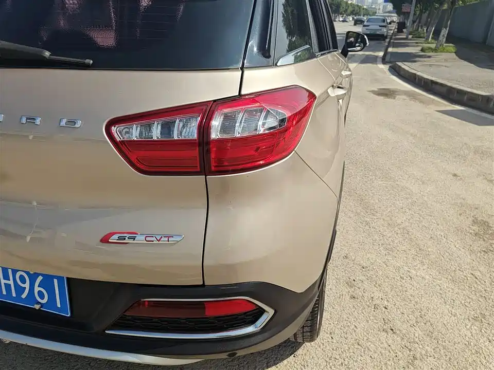 Leopaard Cheetah CS9