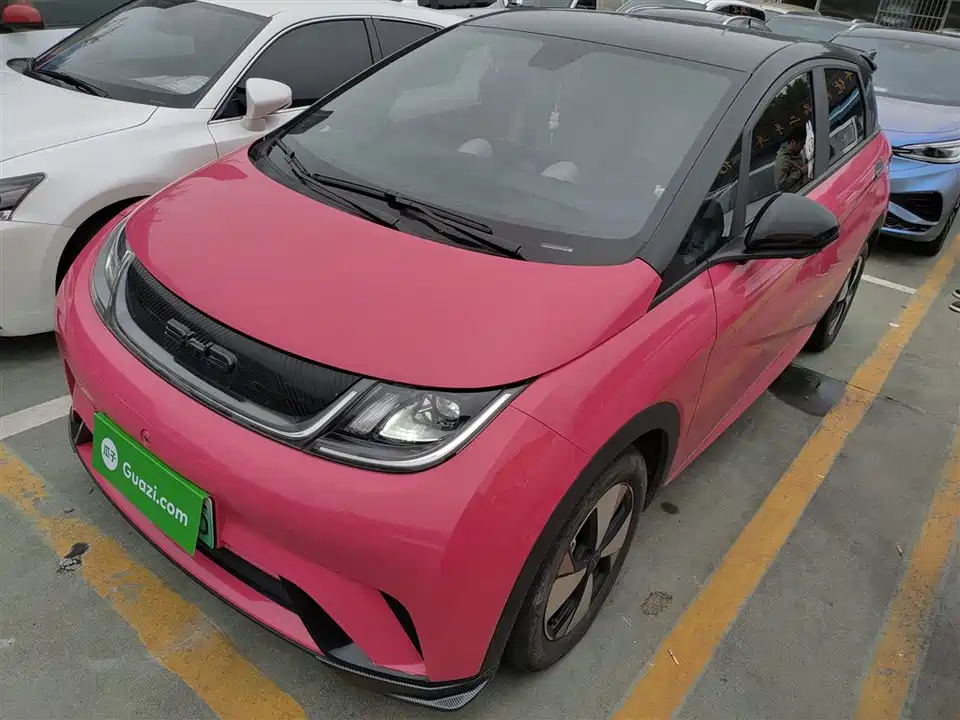 BYD dolphin
