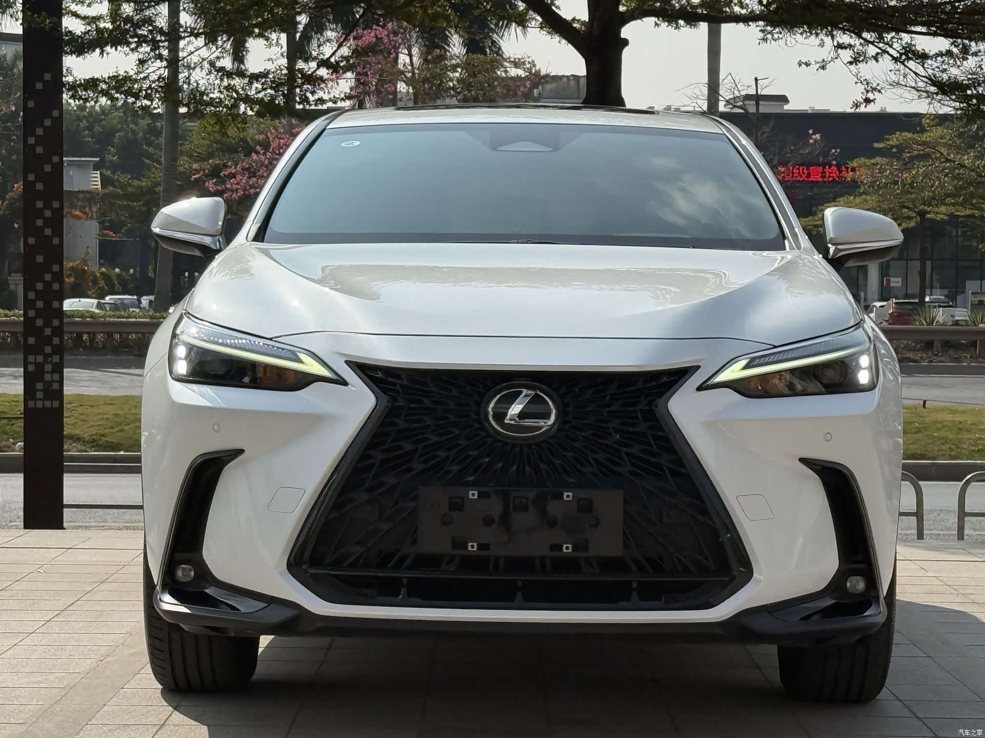 Lexus NX, 2022 2