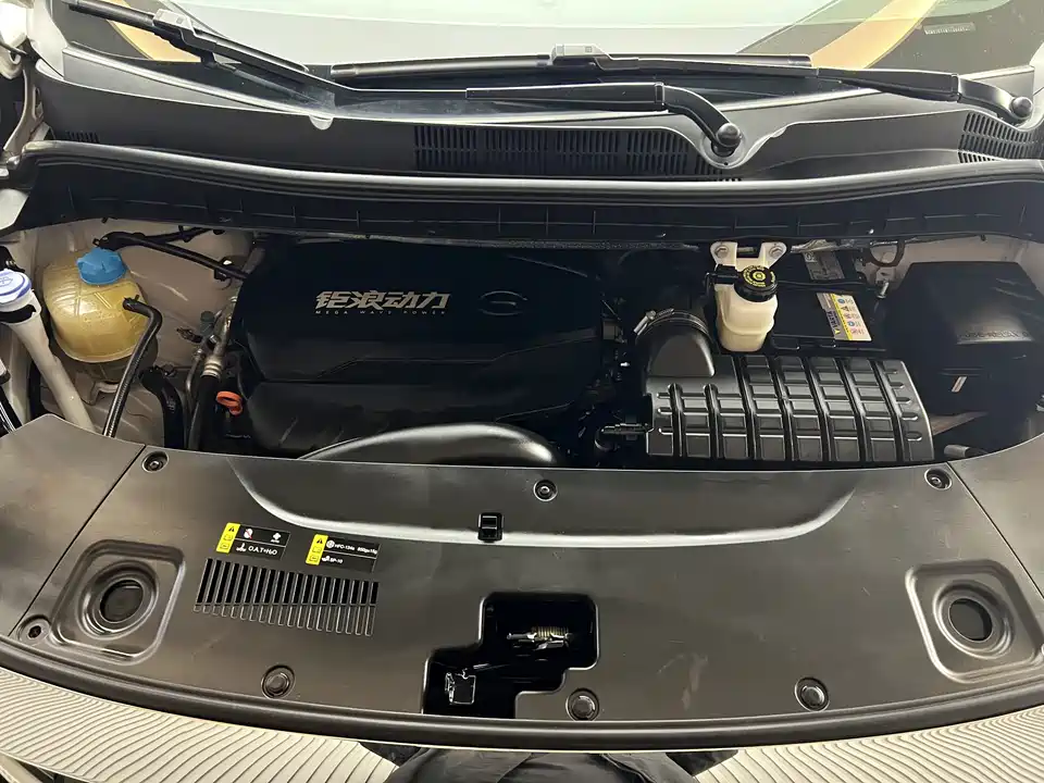 Trumpchi Trumpchi M8