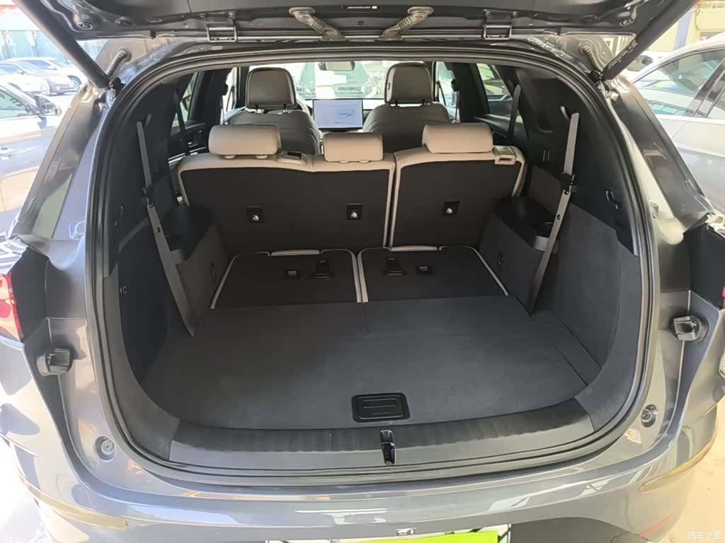 BYD Tang, 2024 19