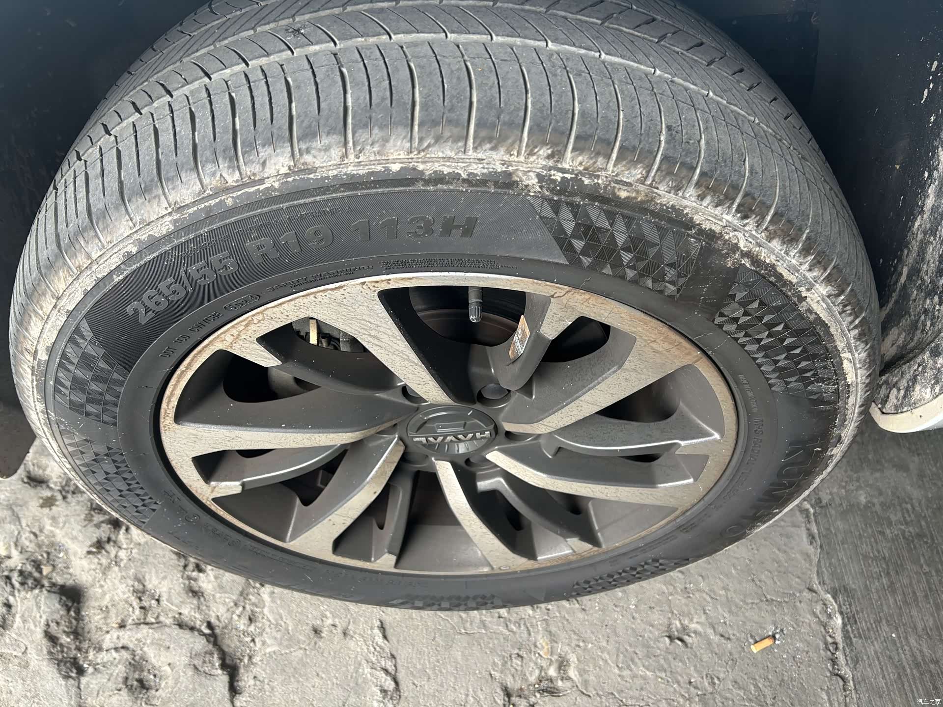 Haval H9, 2025 все фото