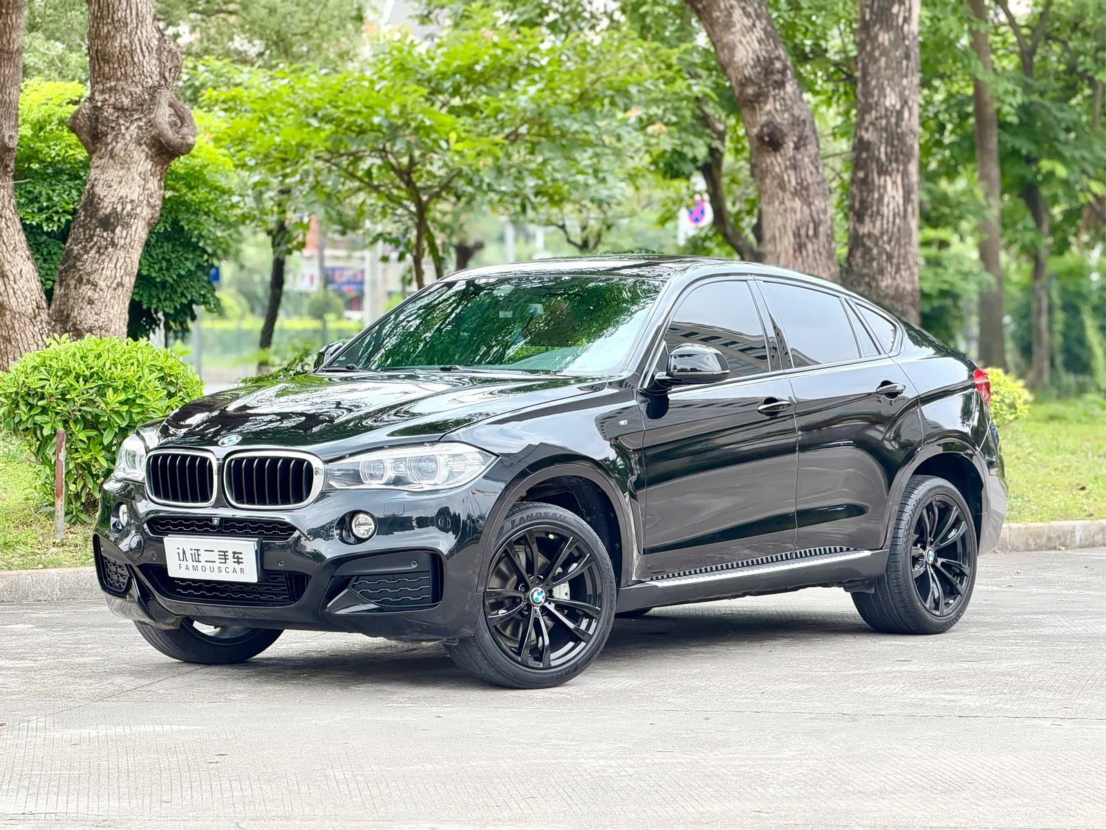 BMW X6, 2019 1