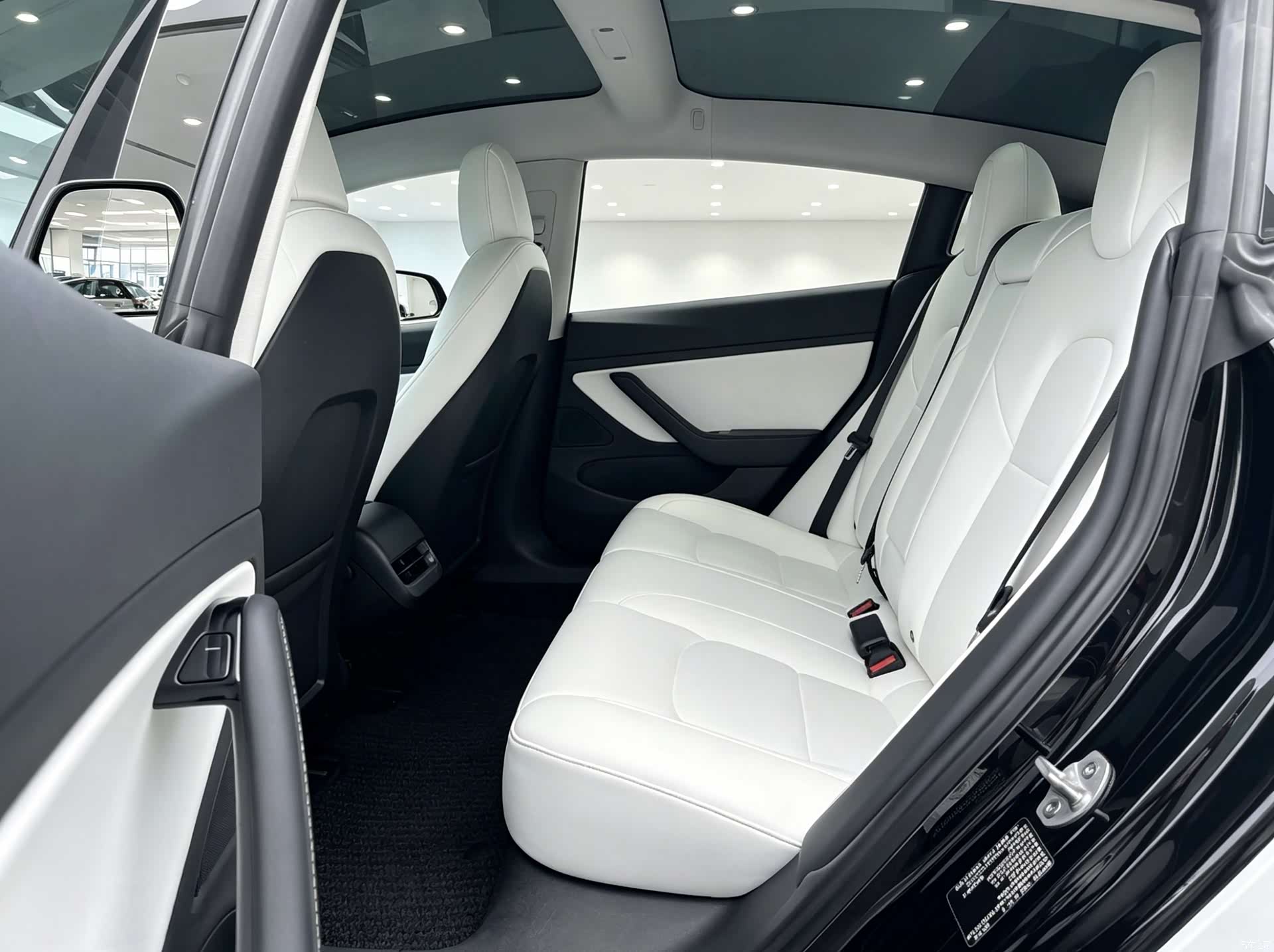 Tesla Model 3, 2021 10