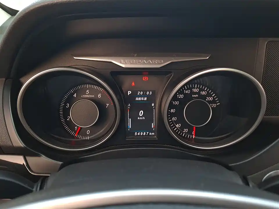 Leopaard Cheetah CS10