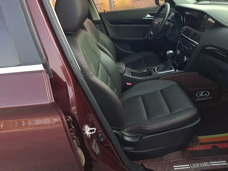 Leopaard Cheetah CS10