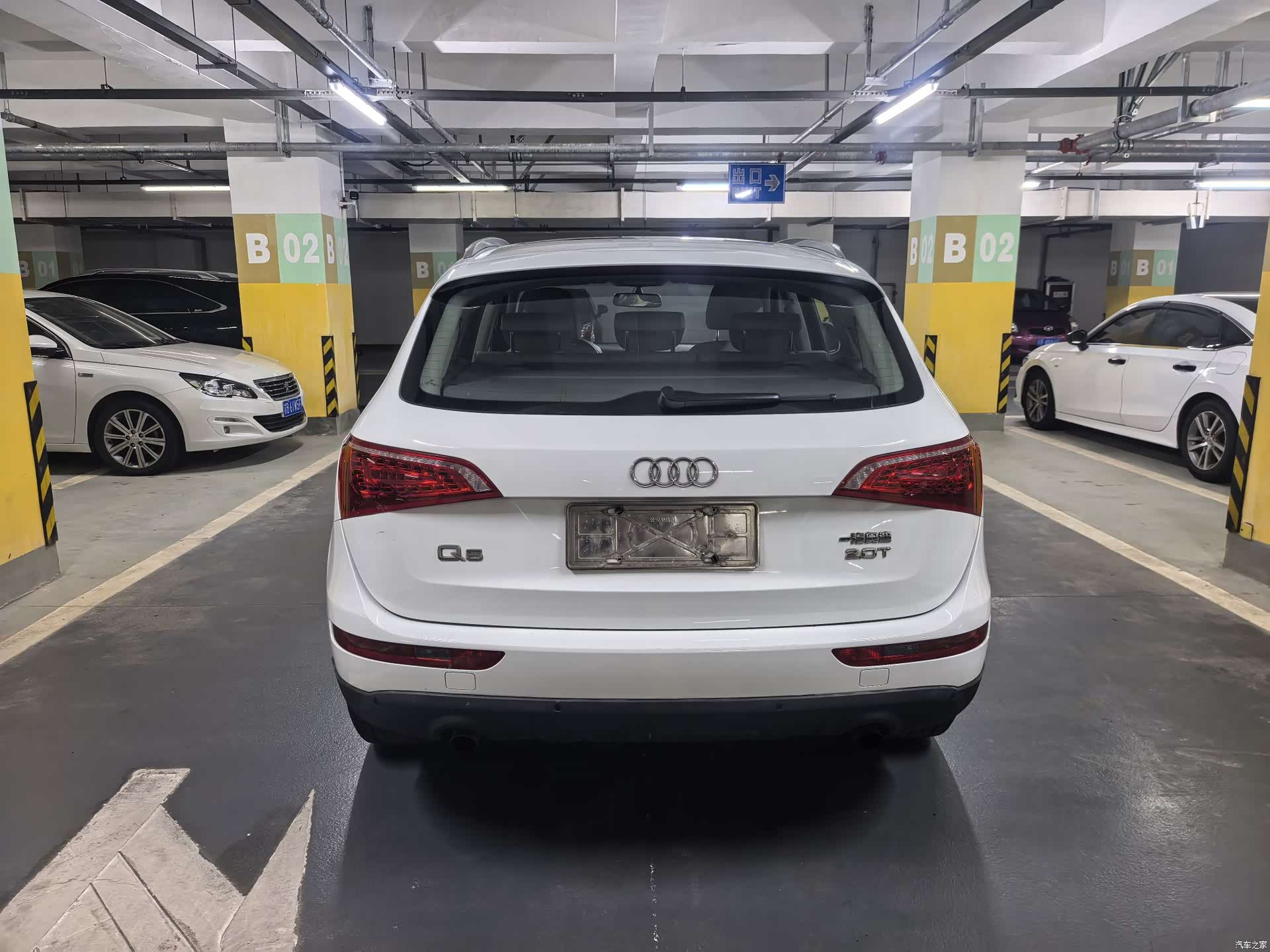 Audi Q5, 2012 все фото