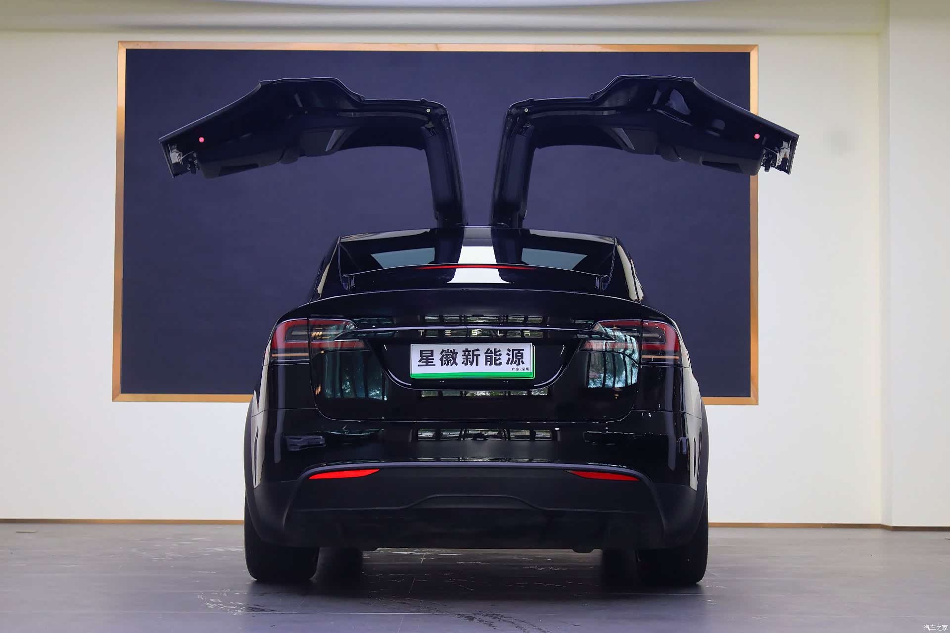 Tesla Model X, 2023 19