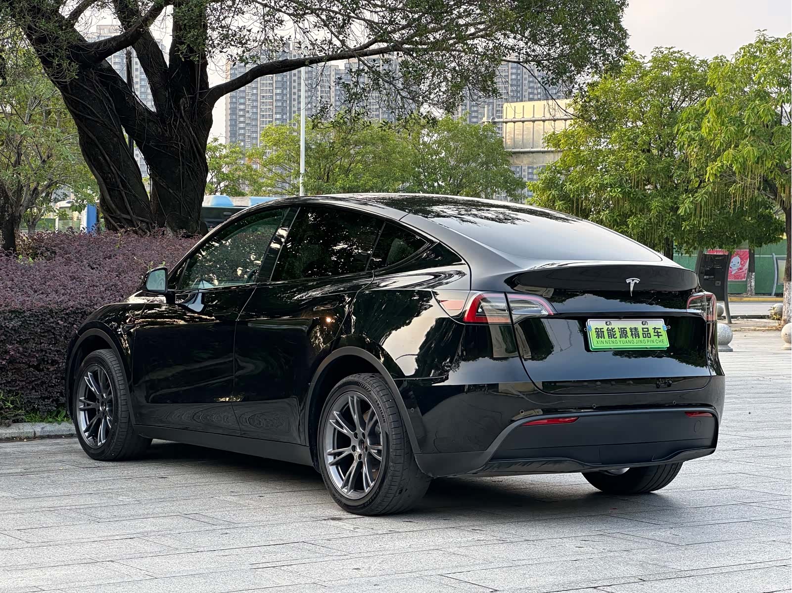Tesla Model Y, 2024 8