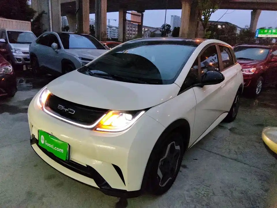 BYD dolphin
