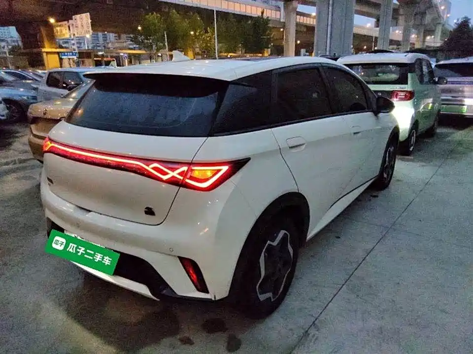 BYD dolphin