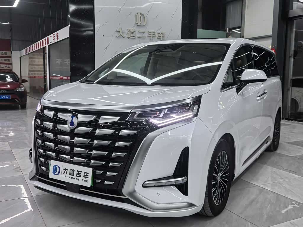 Denza D9
