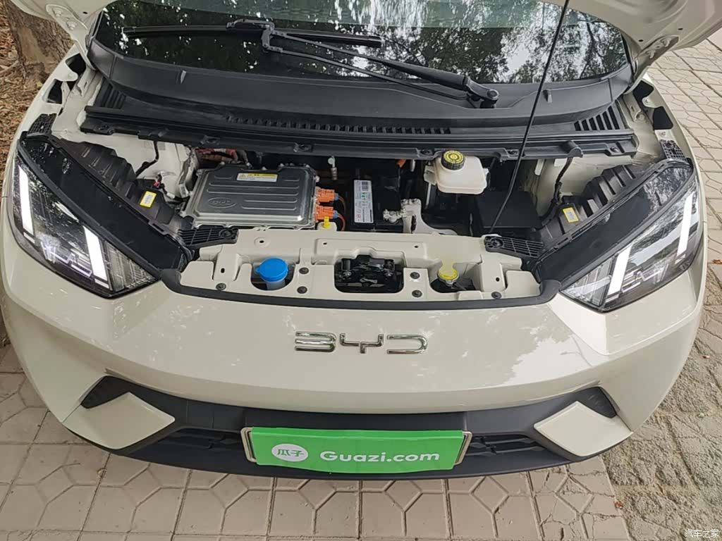 BYD Seagull, 2024 20