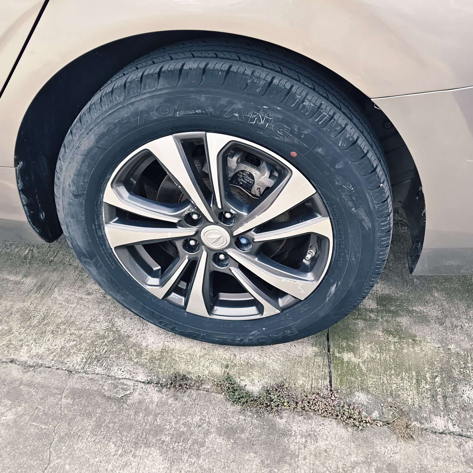 Changan Eado, 2020 14