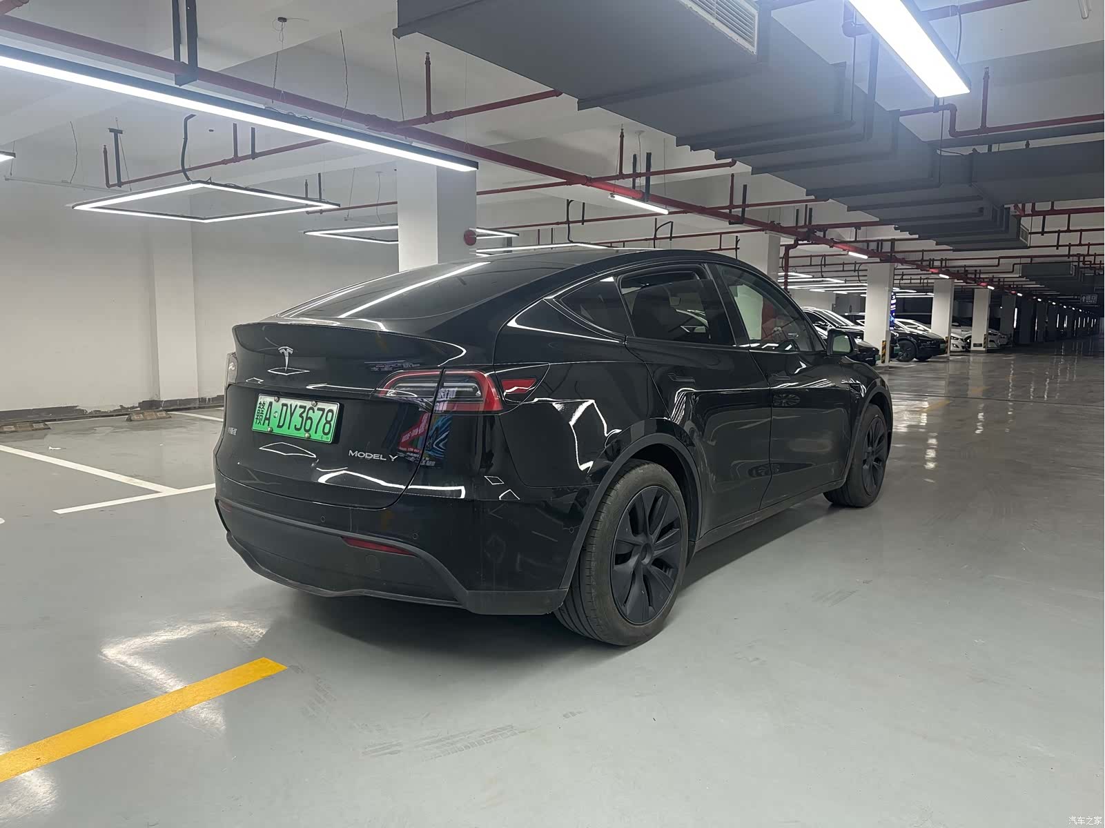 Tesla Model Y, 2024 все фото