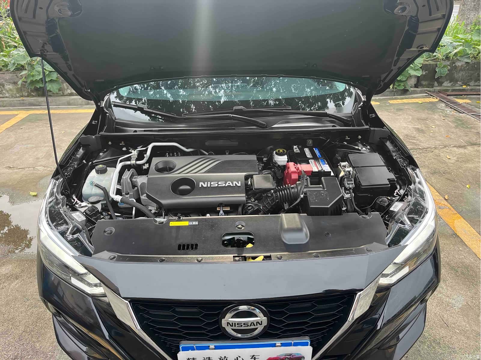 Nissan Sylphy, 2022 16