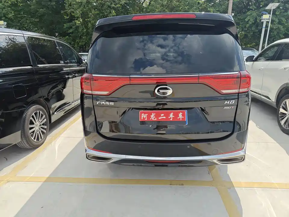 Trumpchi Trumpchi M8