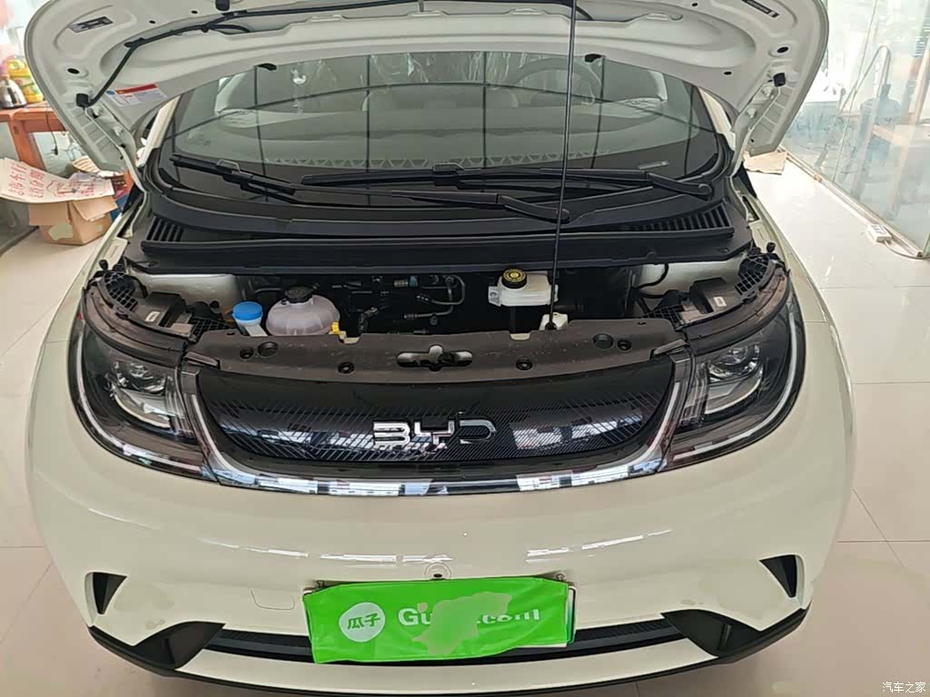 BYD Dolphin, 2026 20