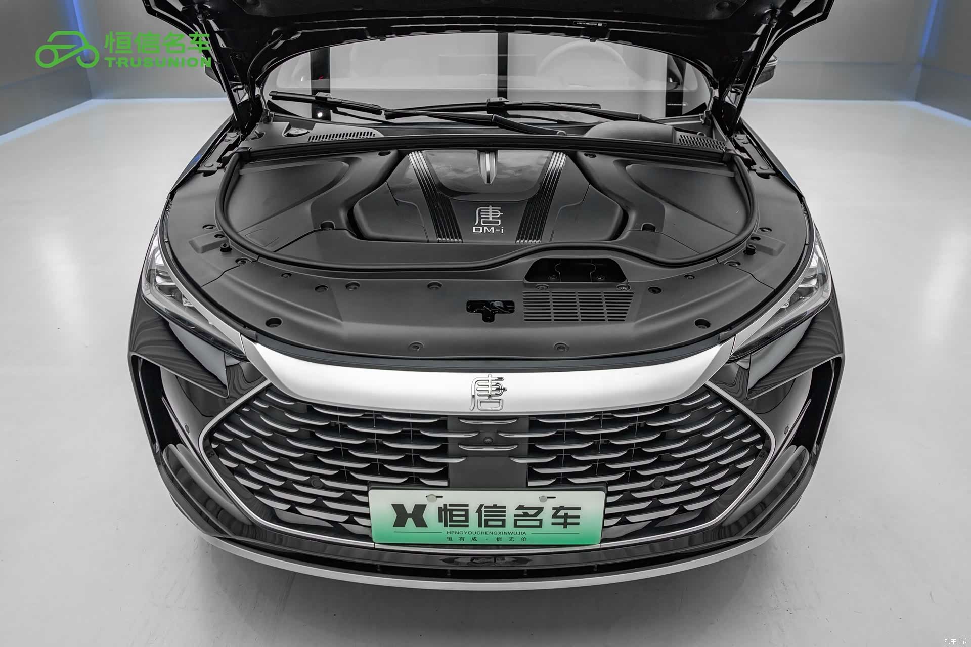BYD Tang, 2024 22