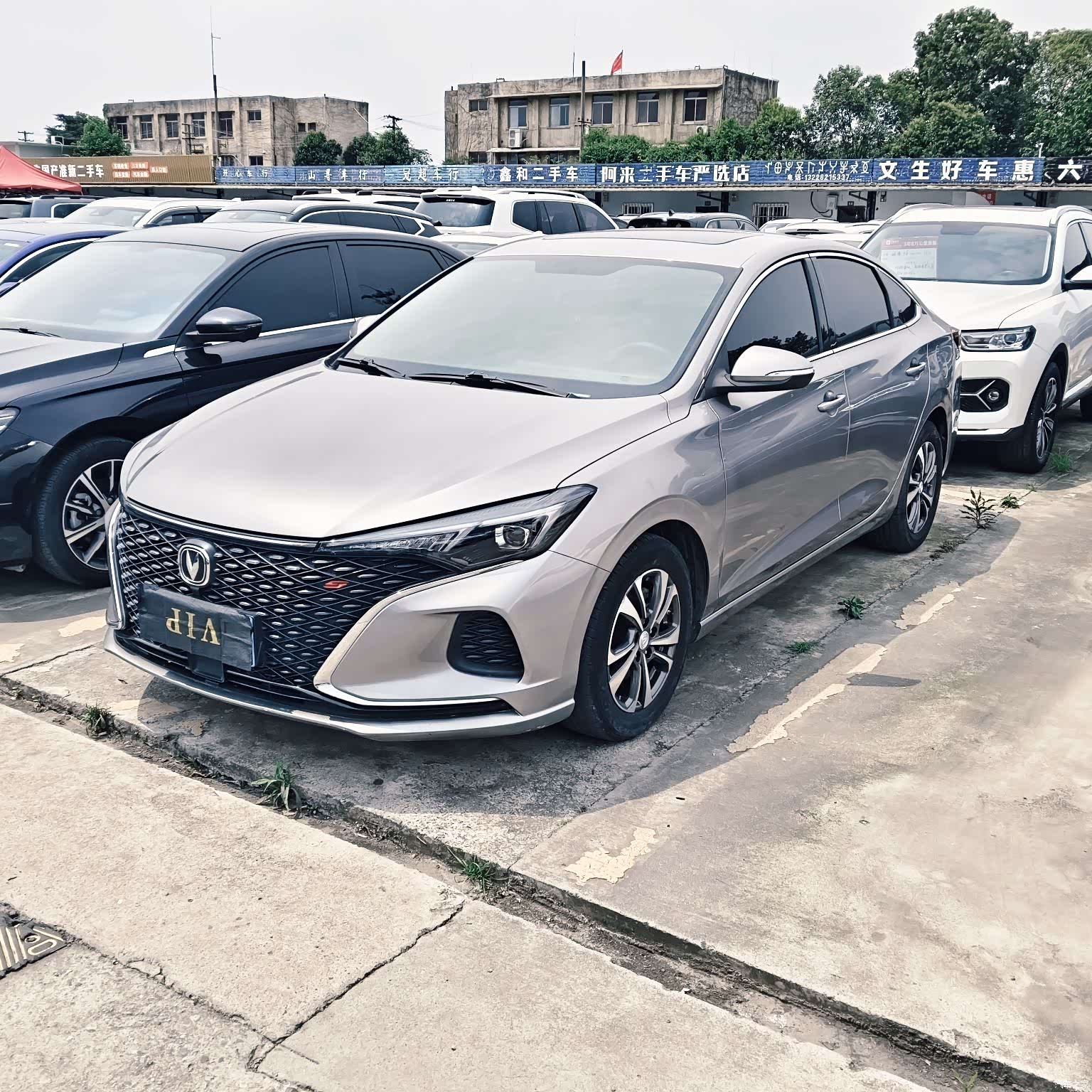 Changan Eado, 2020 1